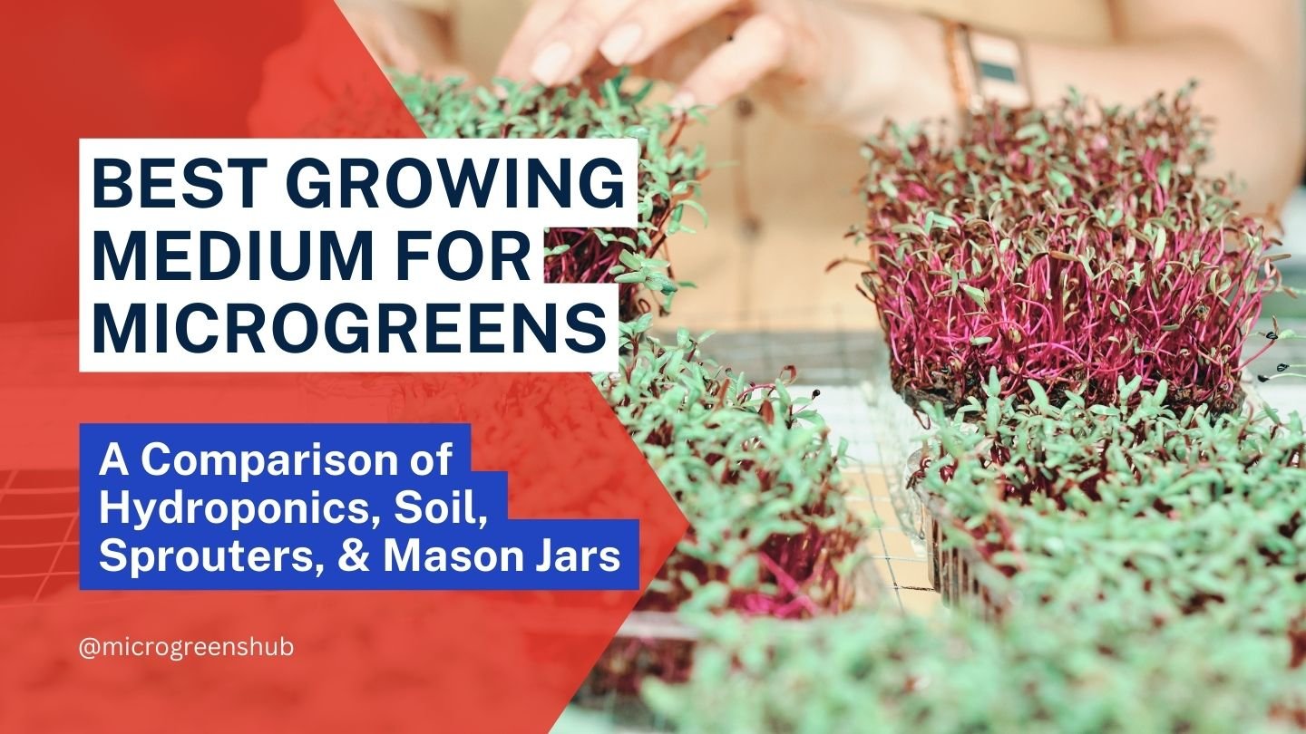 Best Growing Medium for Microgreens