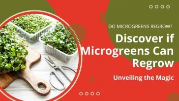 Do Microgreens Regrow