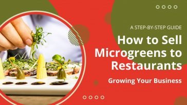 How to Sell Microgreens to Restaurants